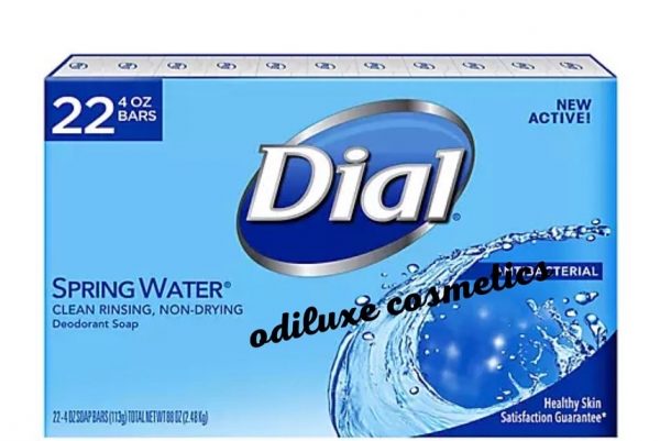 Dial Antibacterial Deodorant Spring Water Bar Soap 4 oz Pack of 22 (US)